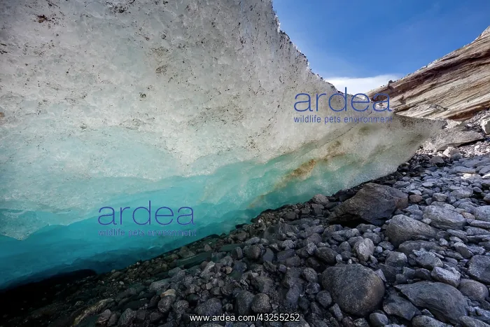 : Glacier snout of Schlatenkees. The Schlatenkees : Glacier snout of Schlatenkees. The Schlatenkees