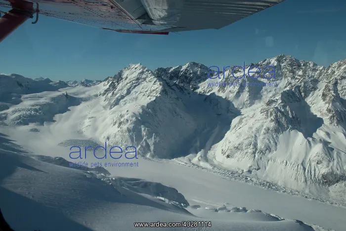 : Glacier and snow-capped mountains - snowplane flight : Glacier and snow-capped mountains - snowplane flight