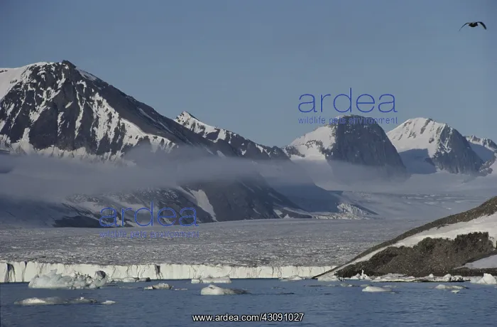 : Glacier in Spitsbergen : Glacier in Spitsbergen