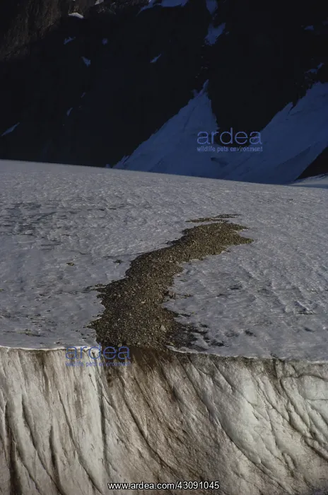 : Glacier in Spitsbergen : Glacier in Spitsbergen