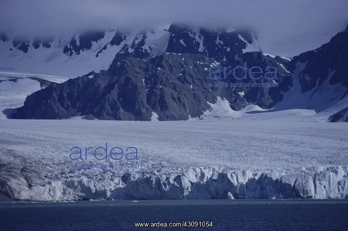 : Glacier in Spitsbergen : Glacier in Spitsbergen