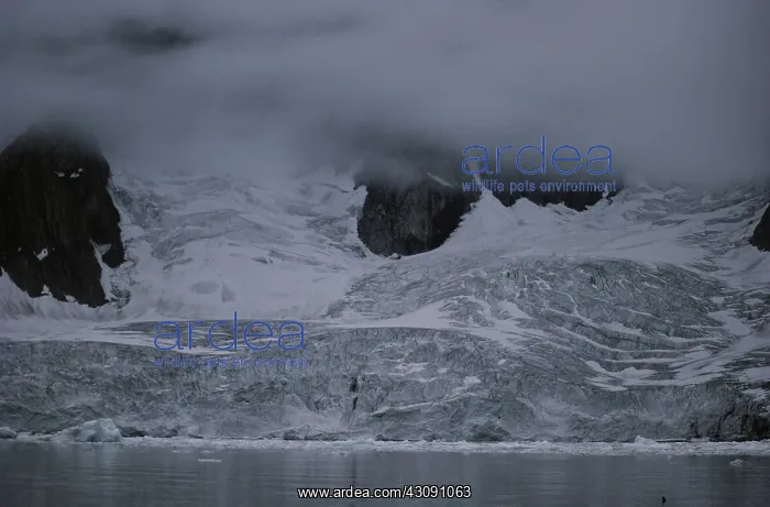 : Glacier in Spitsbergen : Glacier in Spitsbergen