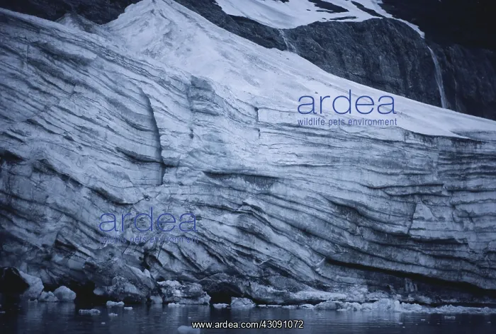 : Glacier in Spitsbergen : Glacier in Spitsbergen