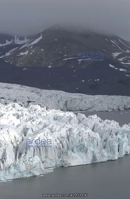  : Glacier - Spitzbergen