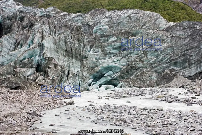 : Glacier - stream in glacial valley below Fox Glacier : Glacier - stream in glacial valley below Fox Glacier