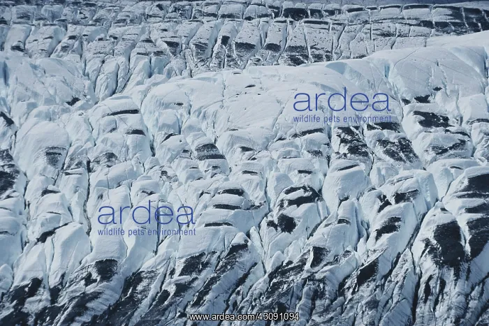 : Glacier Surface : Glacier Surface