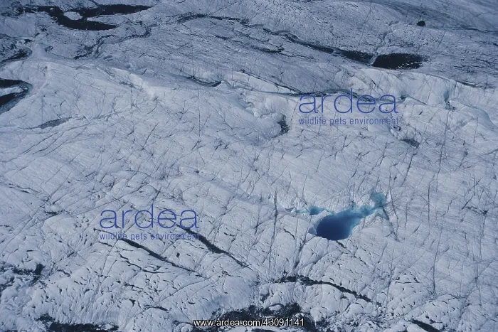 : Glacier Surface : Glacier Surface