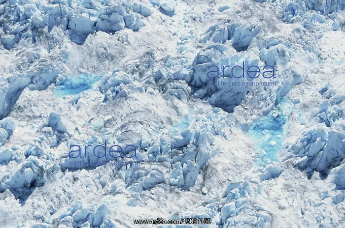: Glacier Surface : Glacier Surface