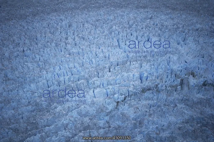 : Glacier Surface : Glacier Surface