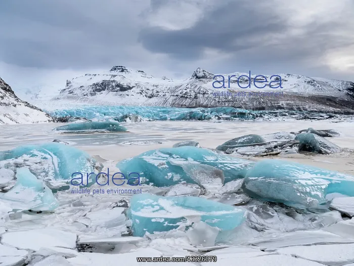 : Glacier Svinafellsjoekul in Vatnajoekull NP duri : Glacier Svinafellsjoekul in Vatnajoekull NP duri