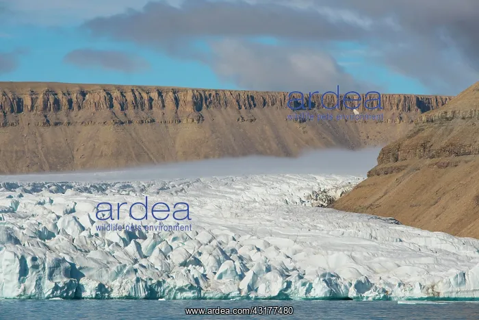 : Glacier tongue, glacier in Croker Bay, Nunavut : Glacier tongue, glacier in Croker Bay, Nunavut