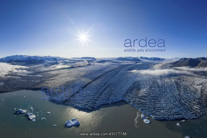 : Glacier tongue of the Vatnajokull glacier : Glacier tongue of the Vatnajokull glacier
