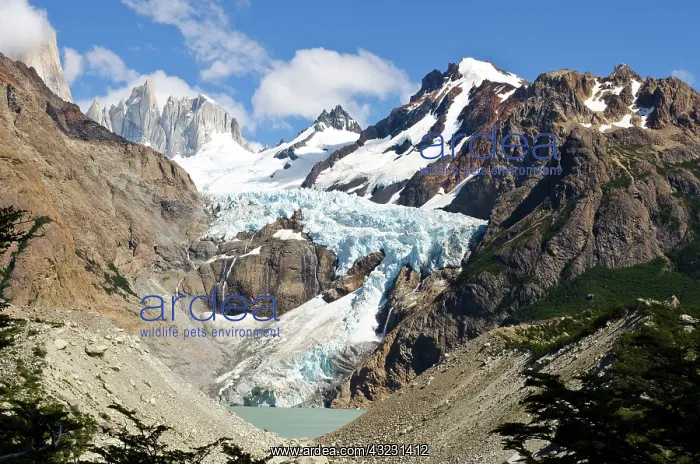  : Glacier underneath the Fitz Roy