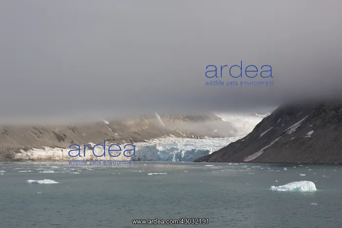 : Glacier Waggonwaybreen calving into Magdalenefjord : Glacier Waggonwaybreen calving into Magdalenefjord