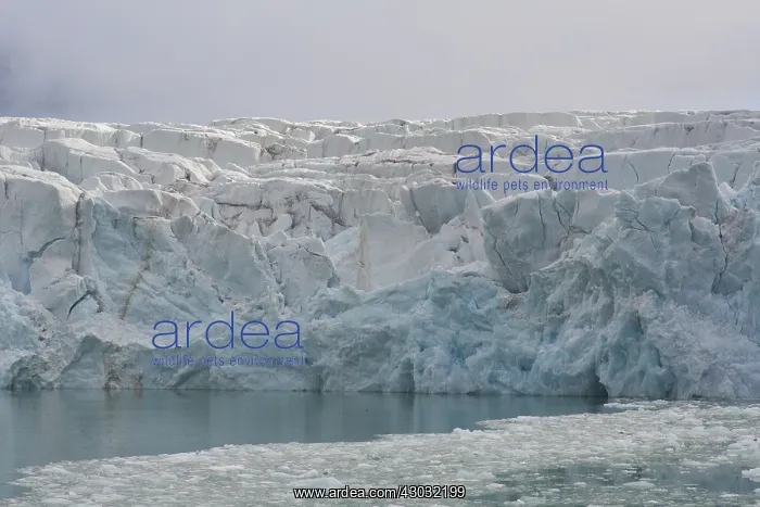 : Glacier Waggonwaybreen calving into Magdalenefjord : Glacier Waggonwaybreen calving into Magdalenefjord