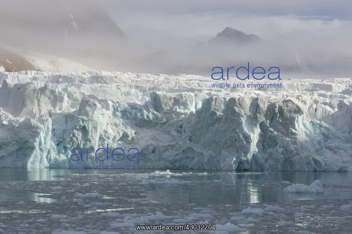 : Glacier Waggonwaybreen calving into Magdalenefjord : Glacier Waggonwaybreen calving into Magdalenefjord