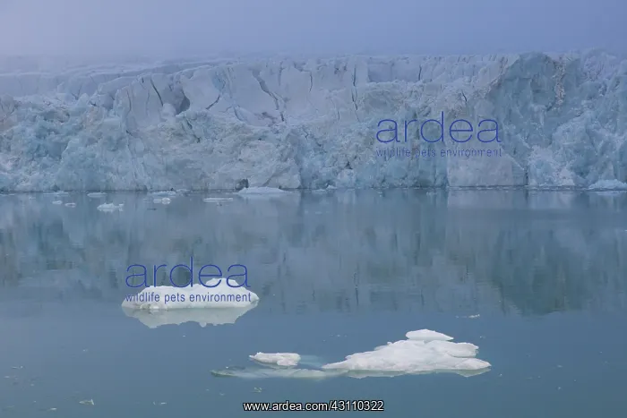 : Glacier Waggonwaybreen calving into Magdalenefjord : Glacier Waggonwaybreen calving into Magdalenefjord