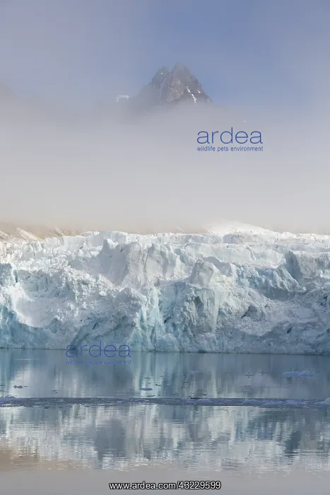 : Glacier Waggonwaybreen calving into Magdalenefjord : Glacier Waggonwaybreen calving into Magdalenefjord