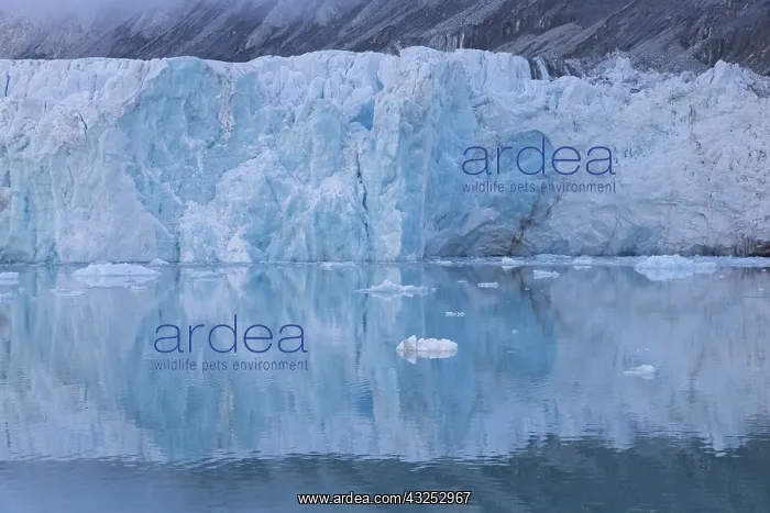 : Glacier Waggonwaybreen calving into Magdalenefjord : Glacier Waggonwaybreen calving into Magdalenefjord