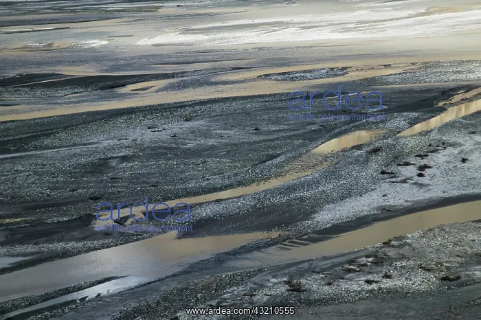  : Glacier water in the Karakorum, Nubra Valley