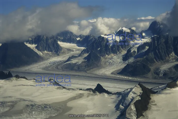: Glaciers in the Alaska Range : Glaciers in the Alaska Range