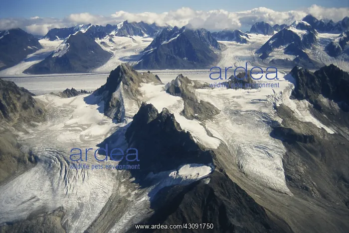 : Glaciers in the Alaska Range : Glaciers in the Alaska Range