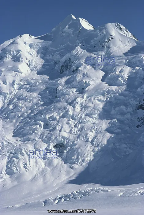 : Glaciers in New Zealand : Glaciers in New Zealand