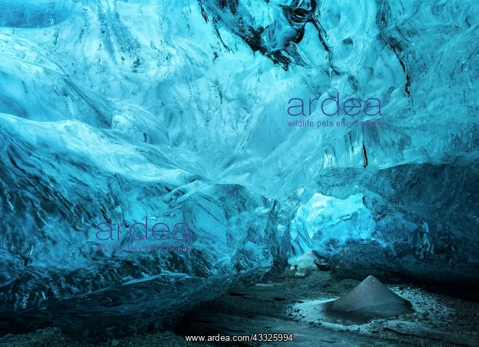 : Glaical cave in Vatnajoekull Nationalpark, Icela : Glaical cave in Vatnajoekull Nationalpark, Icela