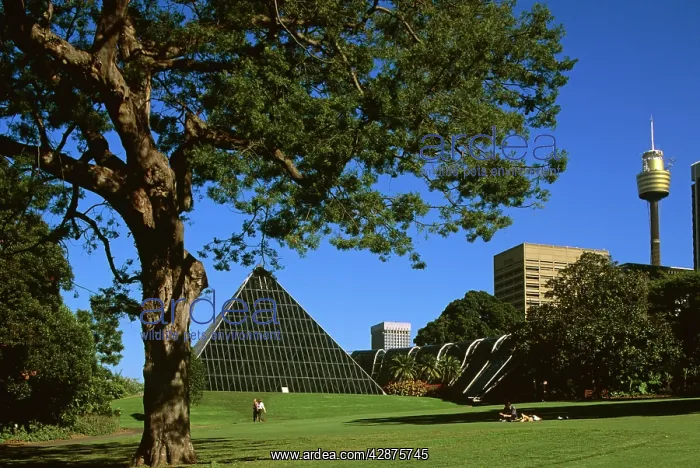 : The Glass Pyramid (a hothouse) in Royal Botanic Gardens : The Glass Pyramid (a hothouse) in Royal Botanic Gardens