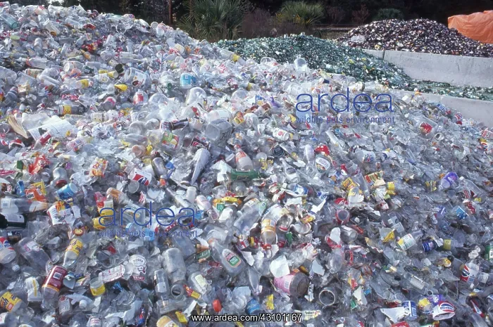 : Glass Recycling : Glass Recycling