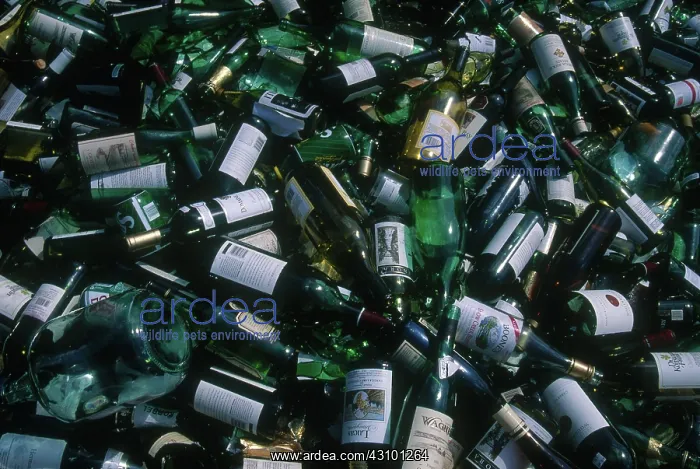 : Glass Recycling : Glass Recycling