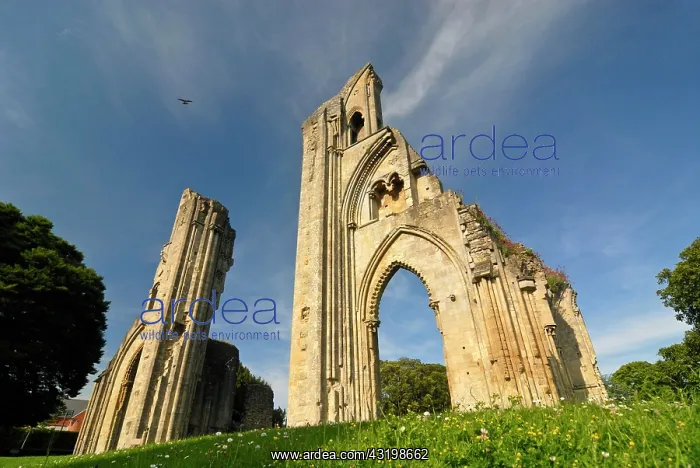 : Glastonbury Abbey, Ley lines, Legend of King Arthur : Glastonbury Abbey, Ley lines, Legend of King Arthur
