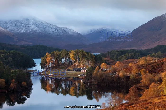 : Glen Affric - cottage in early morning sunshine : Glen Affric - cottage in early morning sunshine