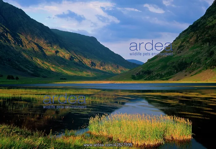  : Glen Coe. Scotland