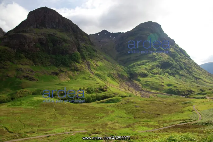 : Glen Coe Valley, Highland Council Area : Glen Coe Valley, Highland Council Area