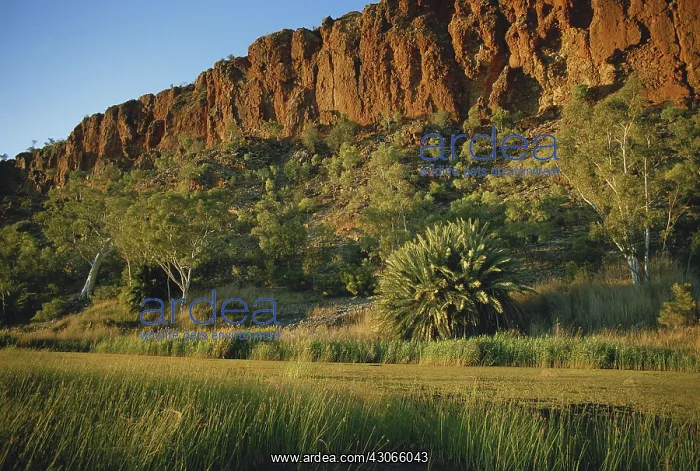 : Glen Helen, Australia : Glen Helen, Australia