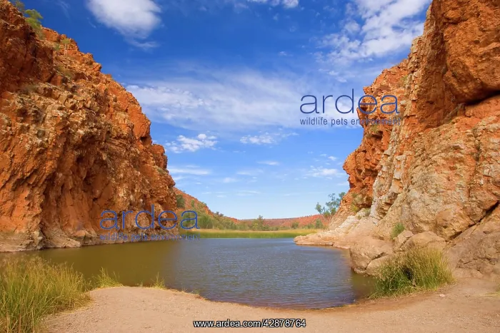 : Glen Helen Gorge - entrance to Glen Helen Gorge : Glen Helen Gorge - entrance to Glen Helen Gorge