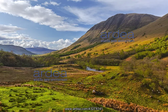 : Glen Nevis - mountain landscape at the foothills : Glen Nevis - mountain landscape at the foothills