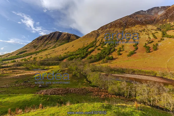 : Glen Nevis - mountain landscape at the foothills : Glen Nevis - mountain landscape at the foothills