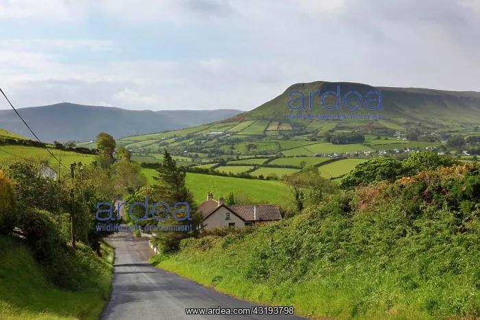 : Glenballyemon Valley near Cushendall, Glens of Antrim : Glenballyemon Valley near Cushendall, Glens of Antrim