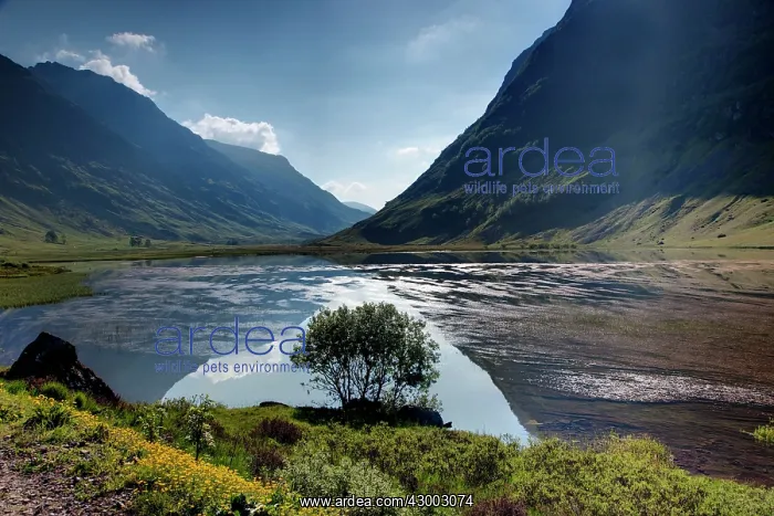 : Glencoe - reflected in Loch Achtriochtan : Glencoe - reflected in Loch Achtriochtan