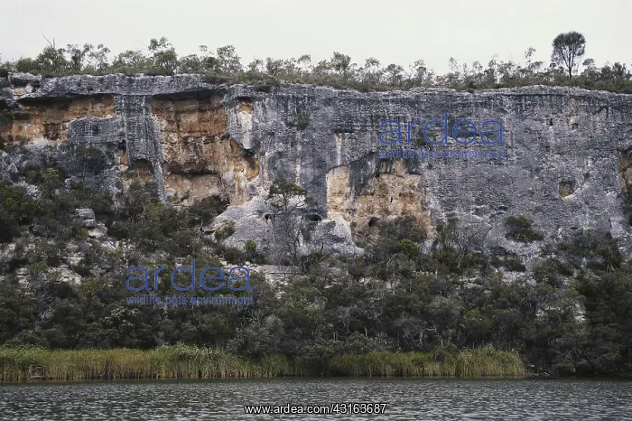 : Glenelg River Gorge, Australia : Glenelg River Gorge, Australia