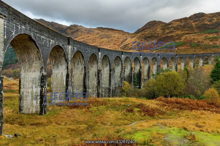 : Glenfinnan railway viaduct, with autumn colours : Glenfinnan railway viaduct, with autumn colours