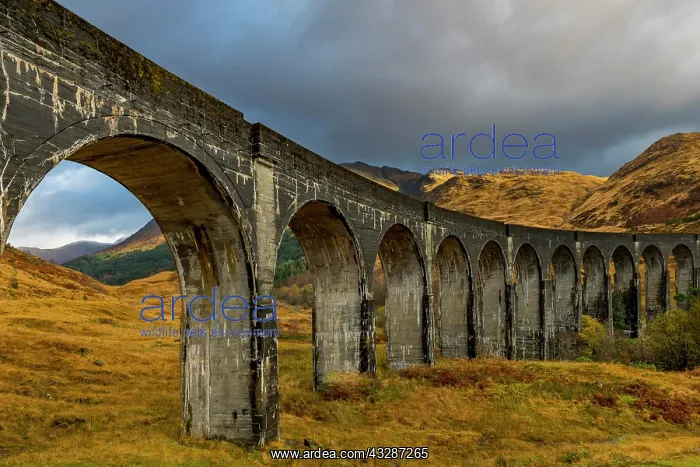 : Glenfinnan railway viaduct, with autumn colours : Glenfinnan railway viaduct, with autumn colours