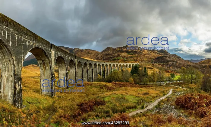 : Glenfinnan railway viaduct, with autumn colours : Glenfinnan railway viaduct, with autumn colours