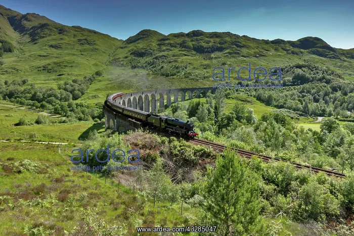 : Glenfinnan viaduct from the Harry Potter films with : Glenfinnan viaduct from the Harry Potter films with