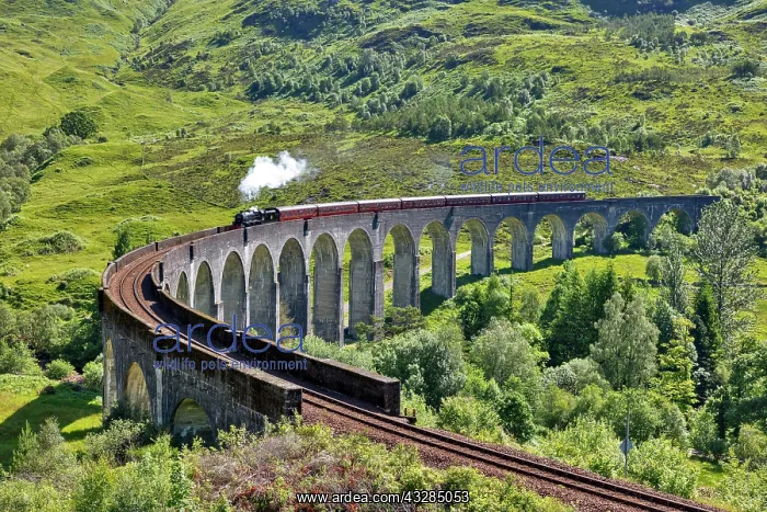 : Glenfinnan viaduct from the Harry Potter films with : Glenfinnan viaduct from the Harry Potter films with
