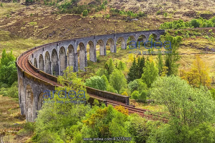 : Glenfinnan Viaduct - historic Glenfinnan viaduct : Glenfinnan Viaduct - historic Glenfinnan viaduct
