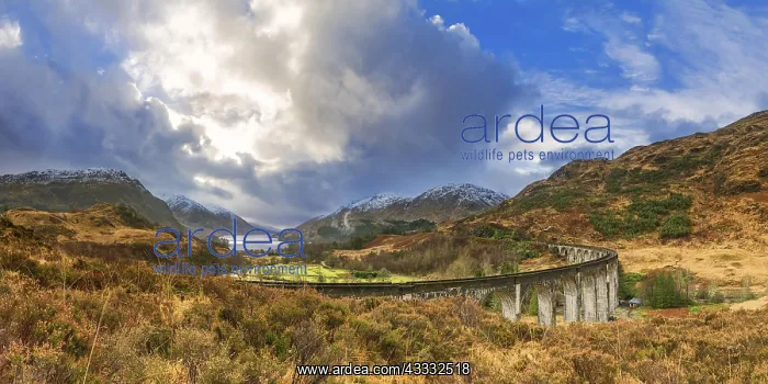 : Glenfinnan Viaduct, Loch Shiel, West Highland Line : Glenfinnan Viaduct, Loch Shiel, West Highland Line