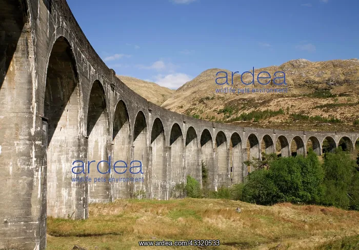 : Glenfinnan Viaduct, Scotland, United Kingdom, Europe : Glenfinnan Viaduct, Scotland, United Kingdom, Europe